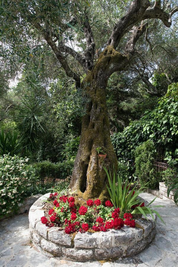 Villa Lofos Kassiopi Exteriér fotografie
