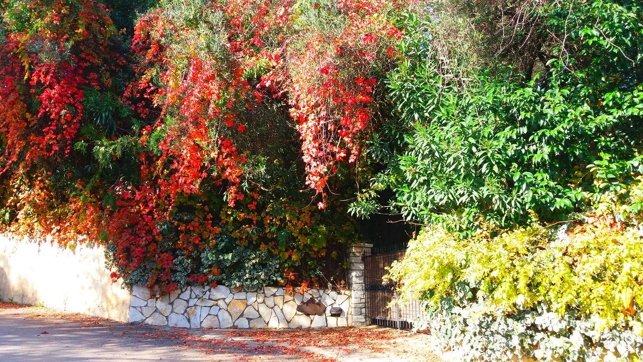 Villa Lofos Kassiopi Exteriér fotografie